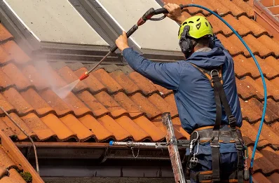 Démoussage et hydrofuge de toiture à Gemaingoutte